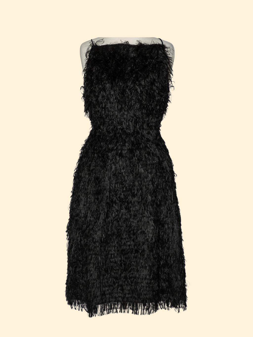 Scanlan Theodore Feathered Dress Black - Size 6