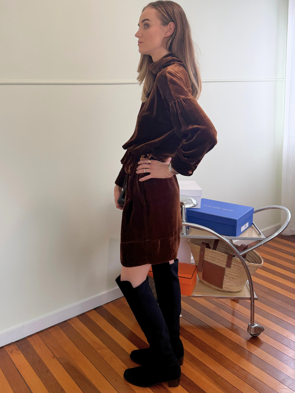 Scanlan Theodore Velvet Dress - Size AU6