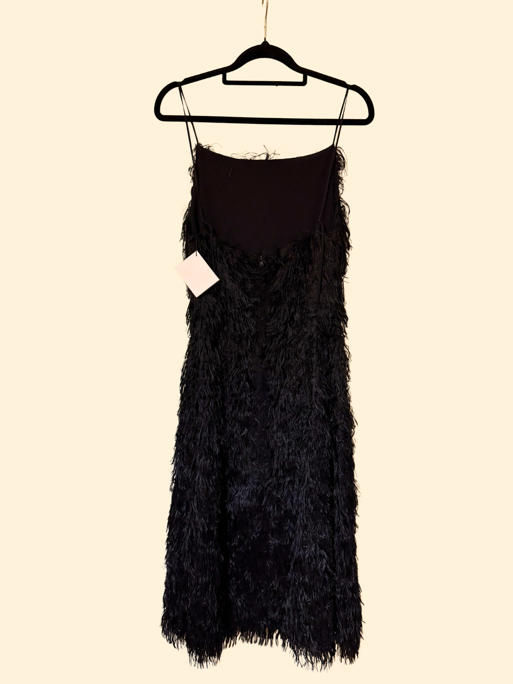 Scanlan Theodore Feathered Dress Black - Size 6