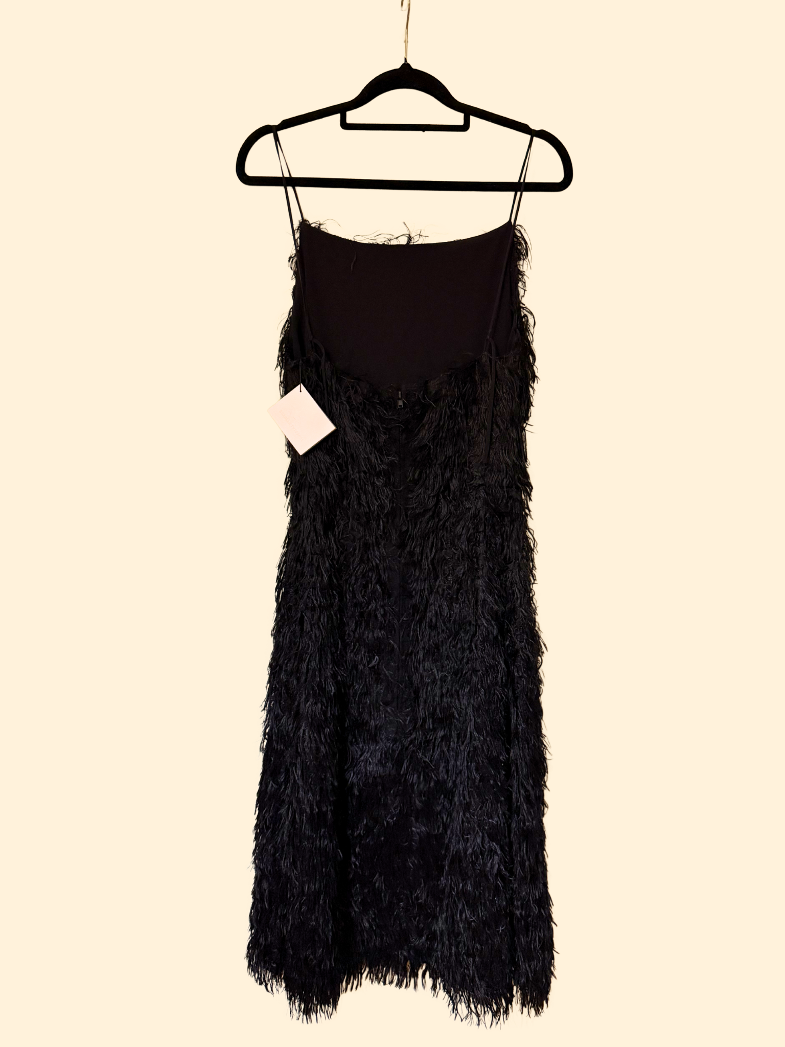 Scanlan Theodore Feathered Dress Black - Size 6